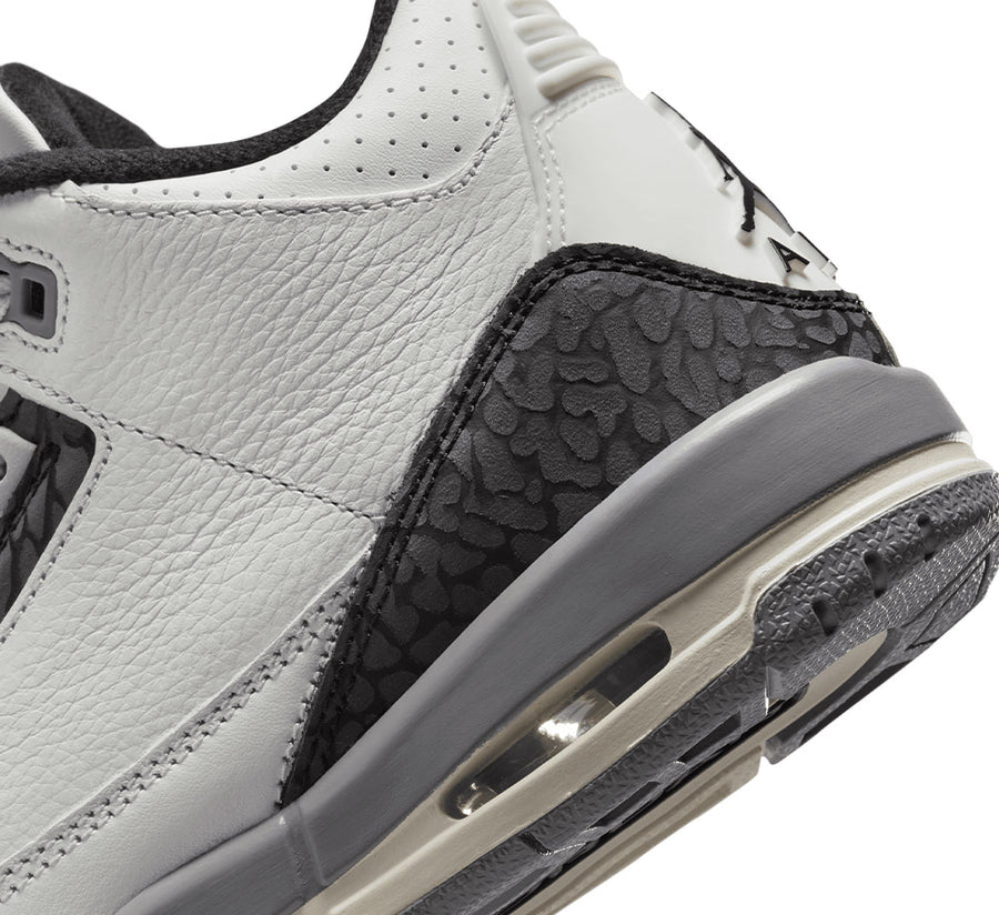 Air Jordan 3 Retro (GS)