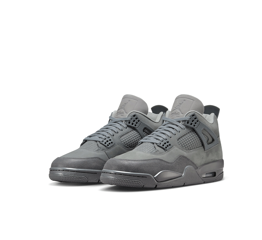 Air Jordan 4 Retro SE