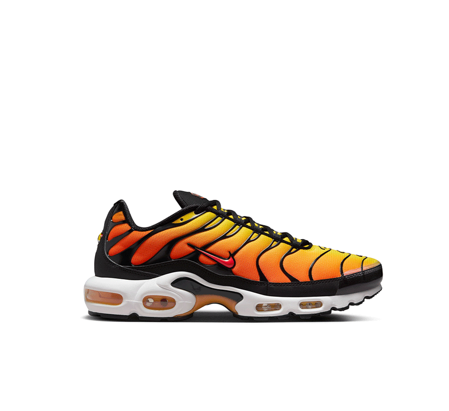 Nike Air Max Plus