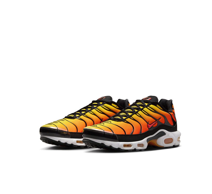 Nike Air Max Plus