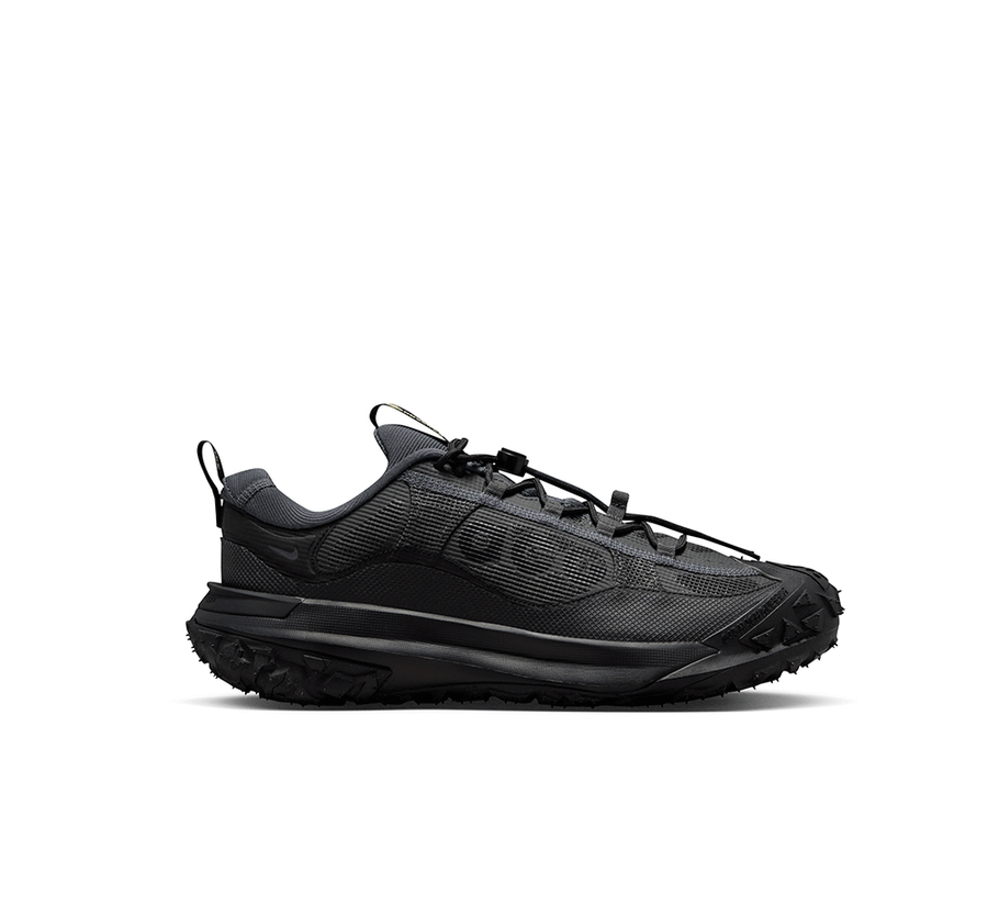 Nike ACG Mountain Fly 2 Low GORE-TEX