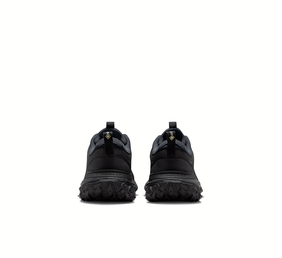 Nike ACG Mountain Fly 2 Low GORE-TEX