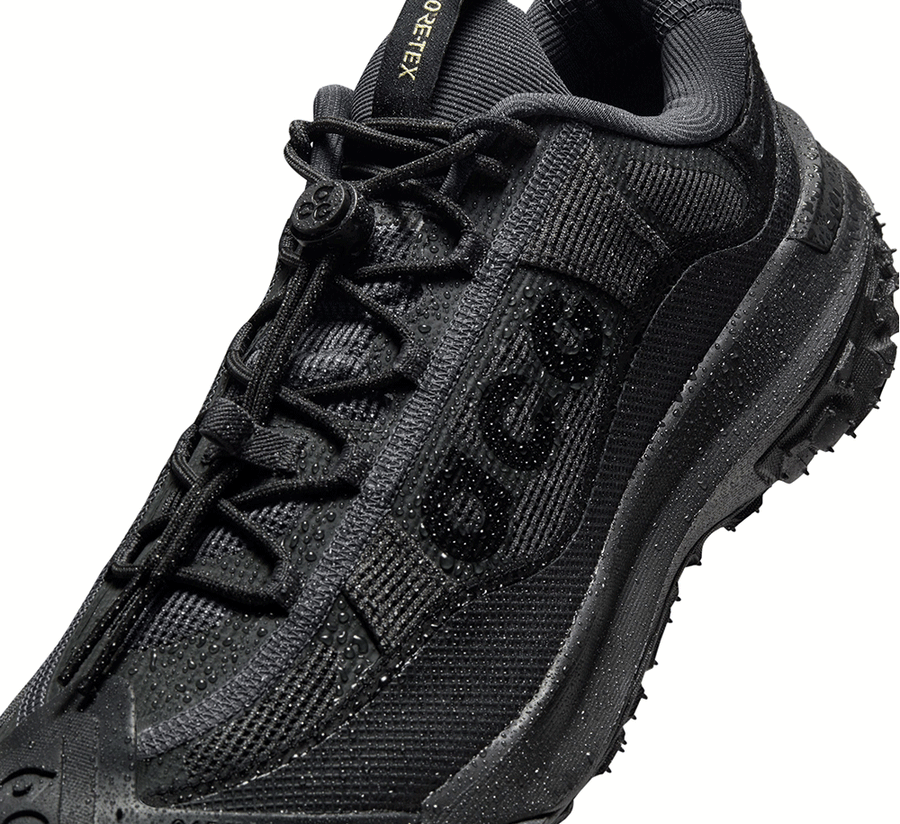 Nike ACG Mountain Fly 2 Low GORE-TEX