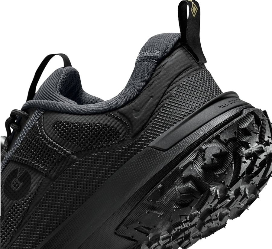 Nike ACG Mountain Fly 2 Low GORE-TEX