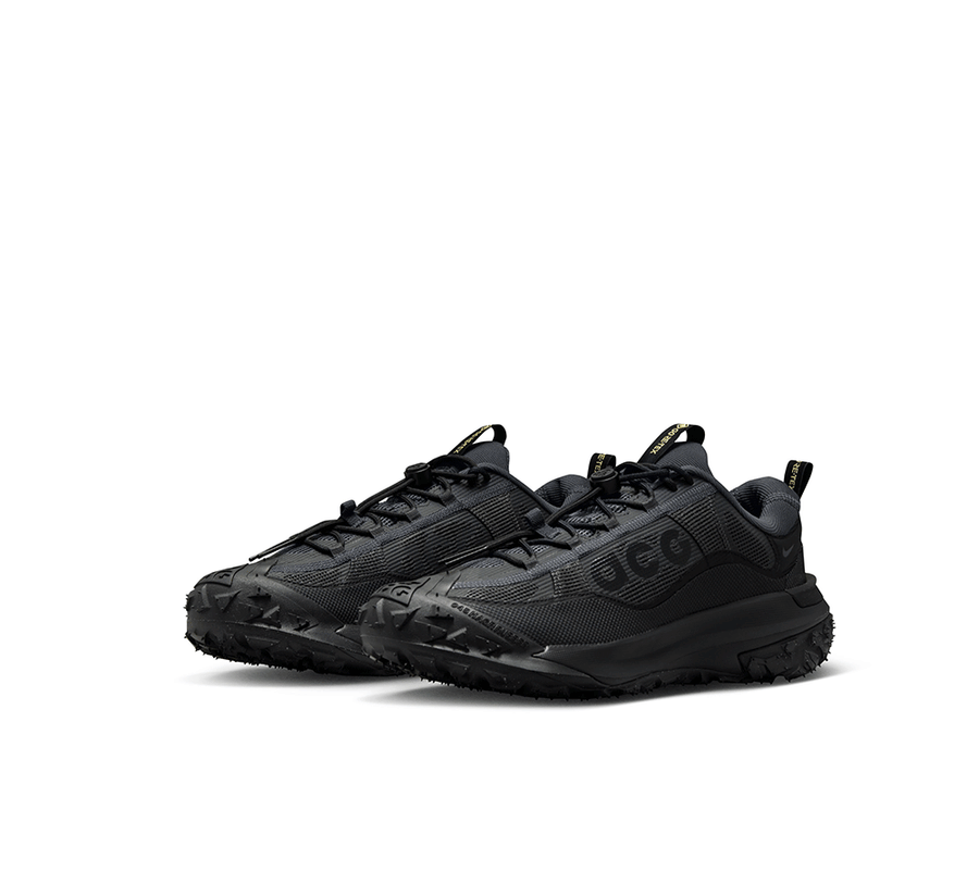 Nike ACG Mountain Fly 2 Low GORE-TEX