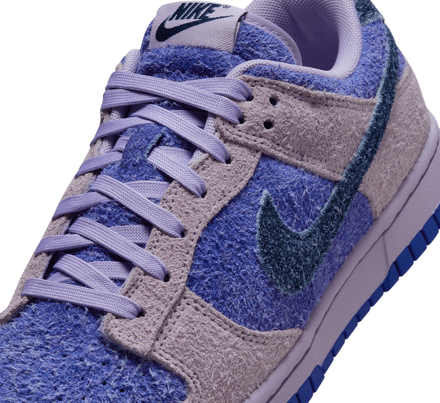 Women's Nike Dunk Low SE